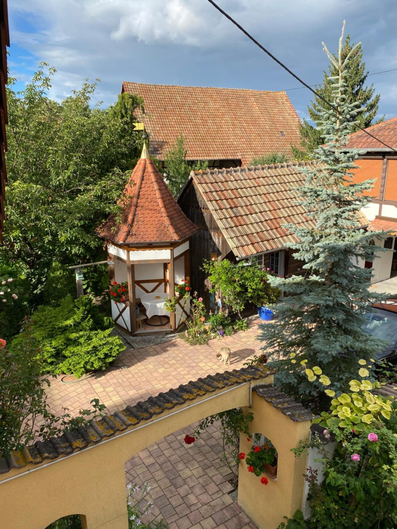 Apartment Des Roses